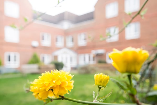 Link House Care & Nursing Home